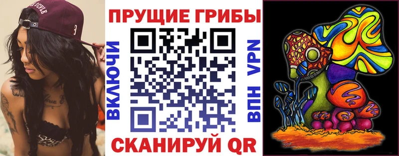Псилоцибиновые грибы прущие грибы  как найти   Ивангород 